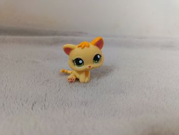 LPS #1649 Chat Jaune Clair Tigré - Authentique Littlest Pet Shop