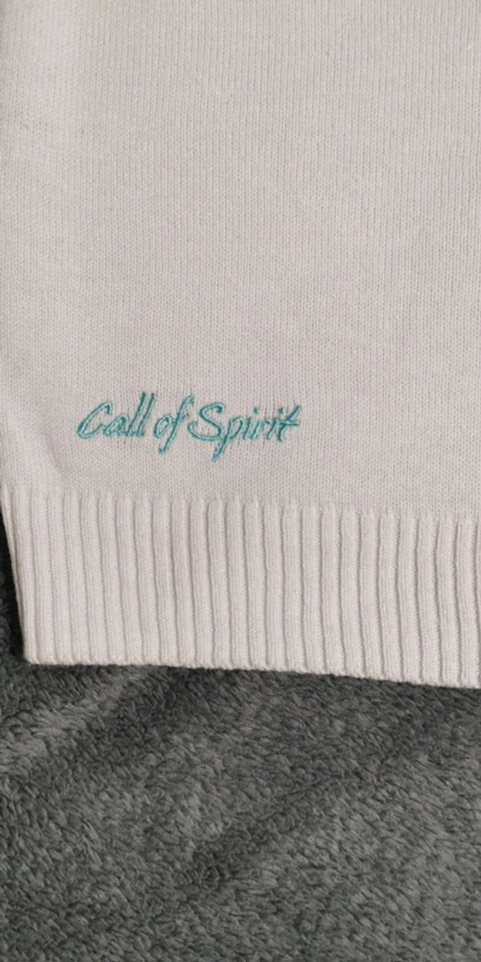 Pull sans manches Gemo - photo numéro 2