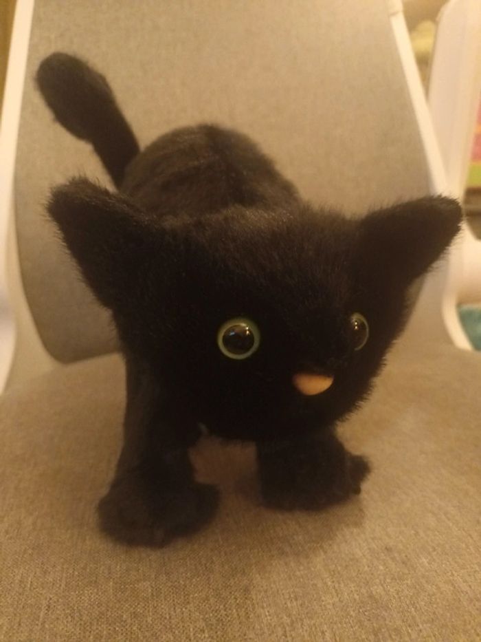 Peluche chat noir jellycat - photo numéro 2