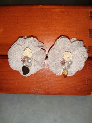 Paire de boucles d'oreilles 💮