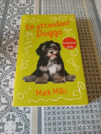 Roman - En attendant Doggo