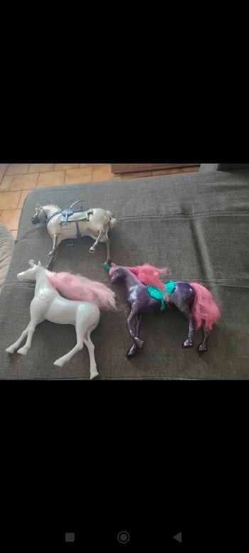 Cheval barbie