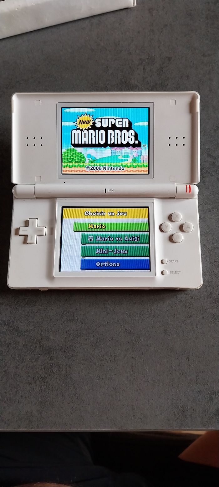 DS LITE⁹
