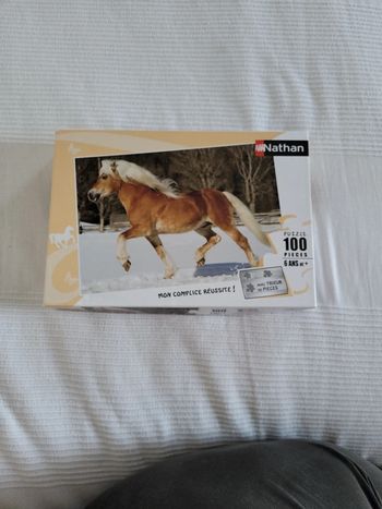 Puzzle cheval dans la neige
