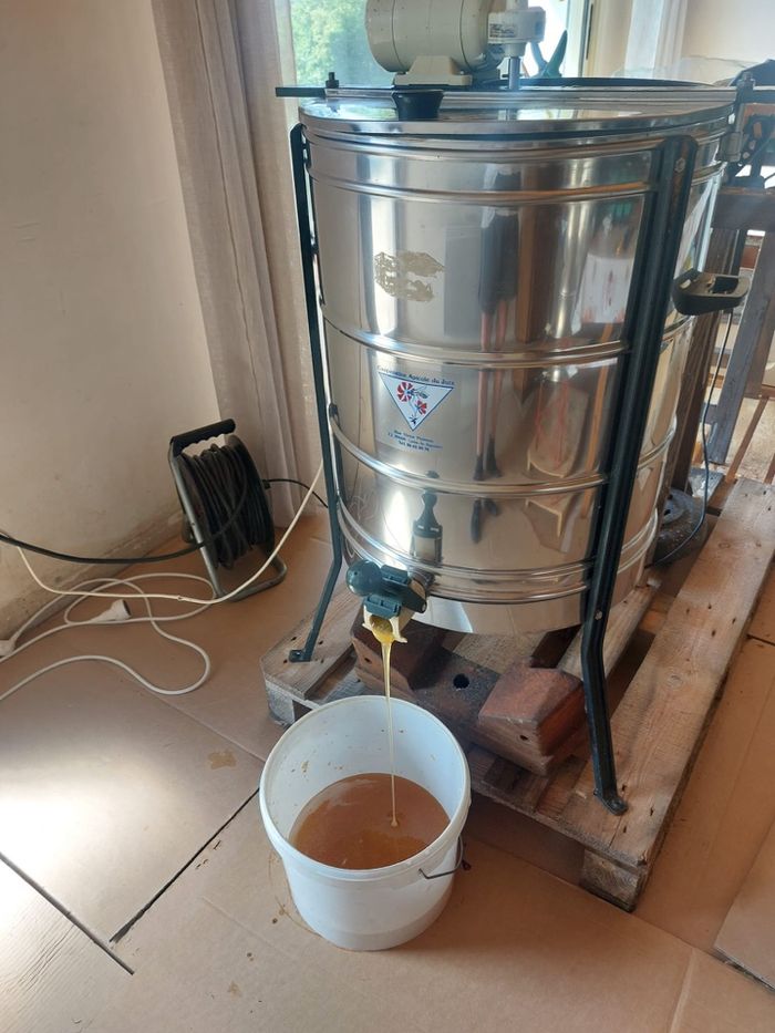 Miel naturel de sapin - photo numéro 5