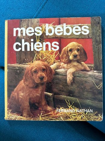 Album livre carton ancien vintage Mes bébés chiens (et animaux) Fernand Nathan