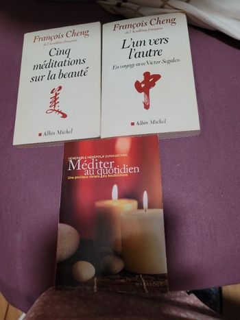Lot de 3 livres de meditation