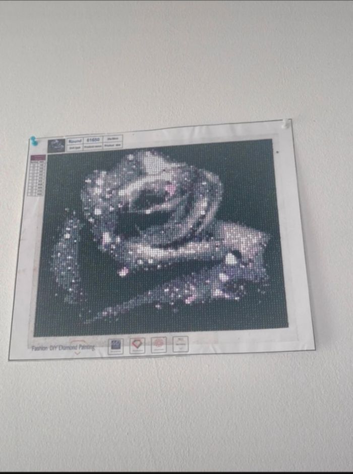 Peinture diamant fini🌟
