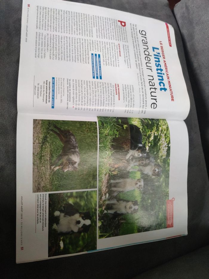 Magazine 30 millions d'amis numéro 386 été juillet août 2020 - photo numéro 8