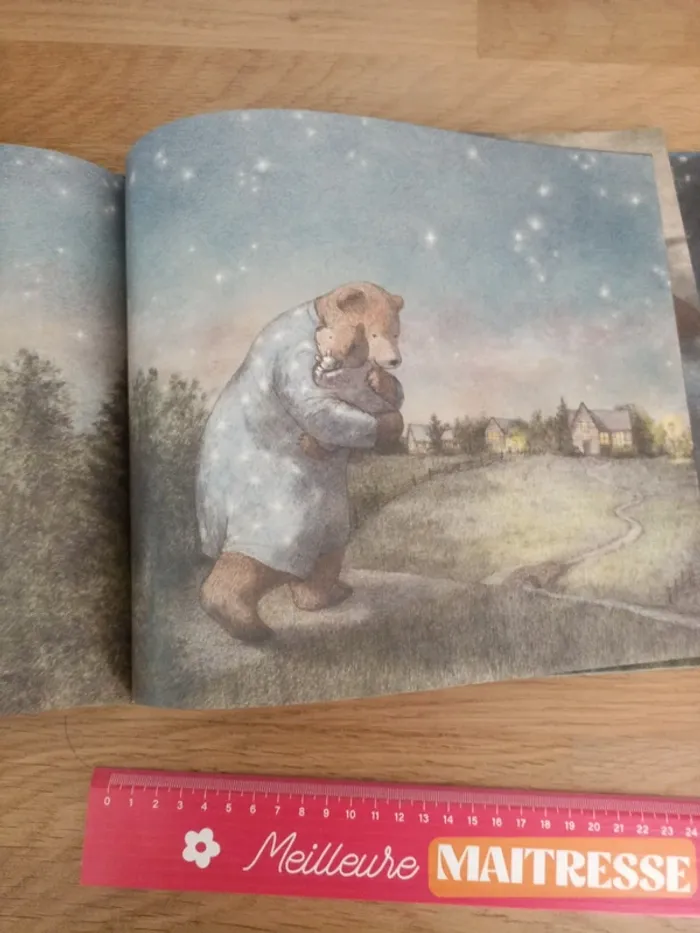 Livre un vœu aux étoiles - photo numéro 5