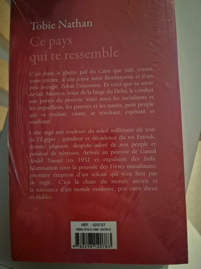 Livre ce pays qui te ressemble - photo numéro 2