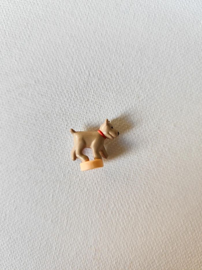 Chien Polly pocket bluebird