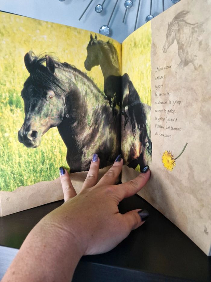 Livre les chevaux du soleil - photo numéro 5