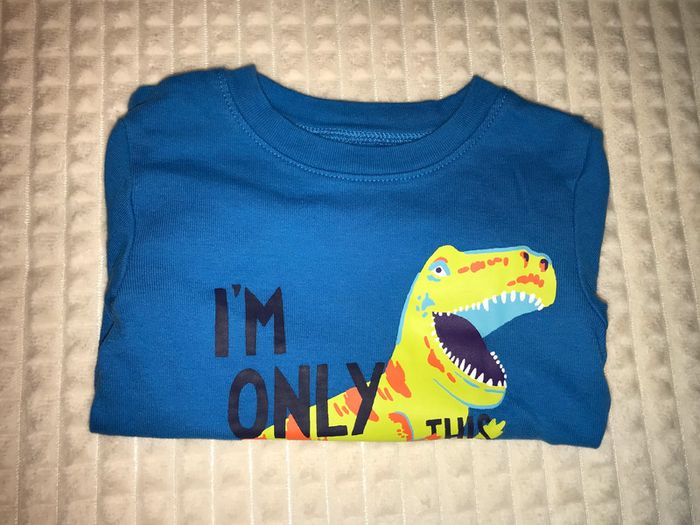 T-shirt dinosaure 2 ans - photo numéro 2
