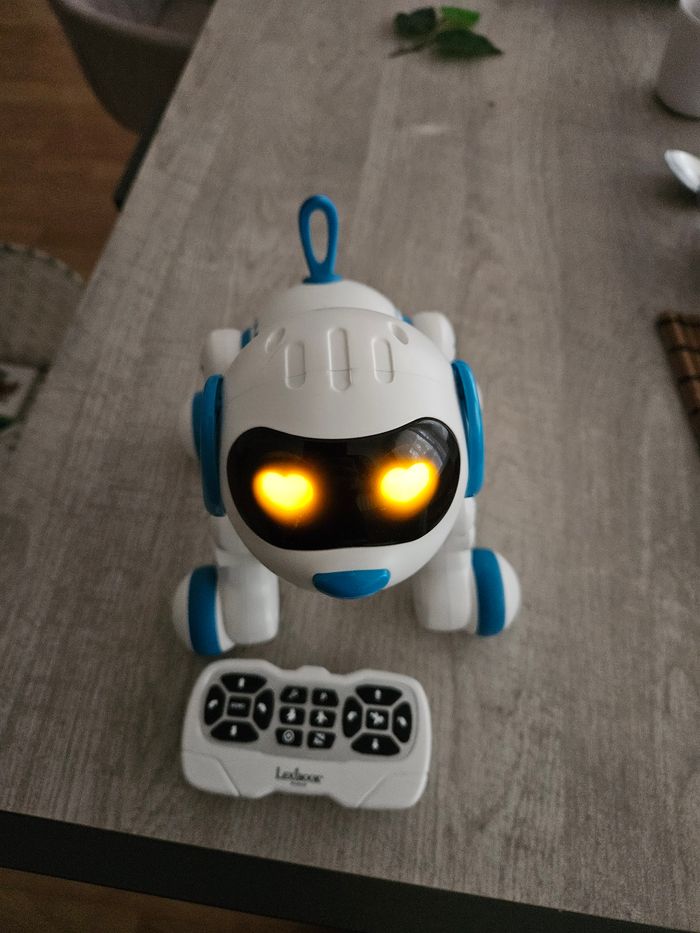 Chien Power puppy JR8 - photo numéro 6