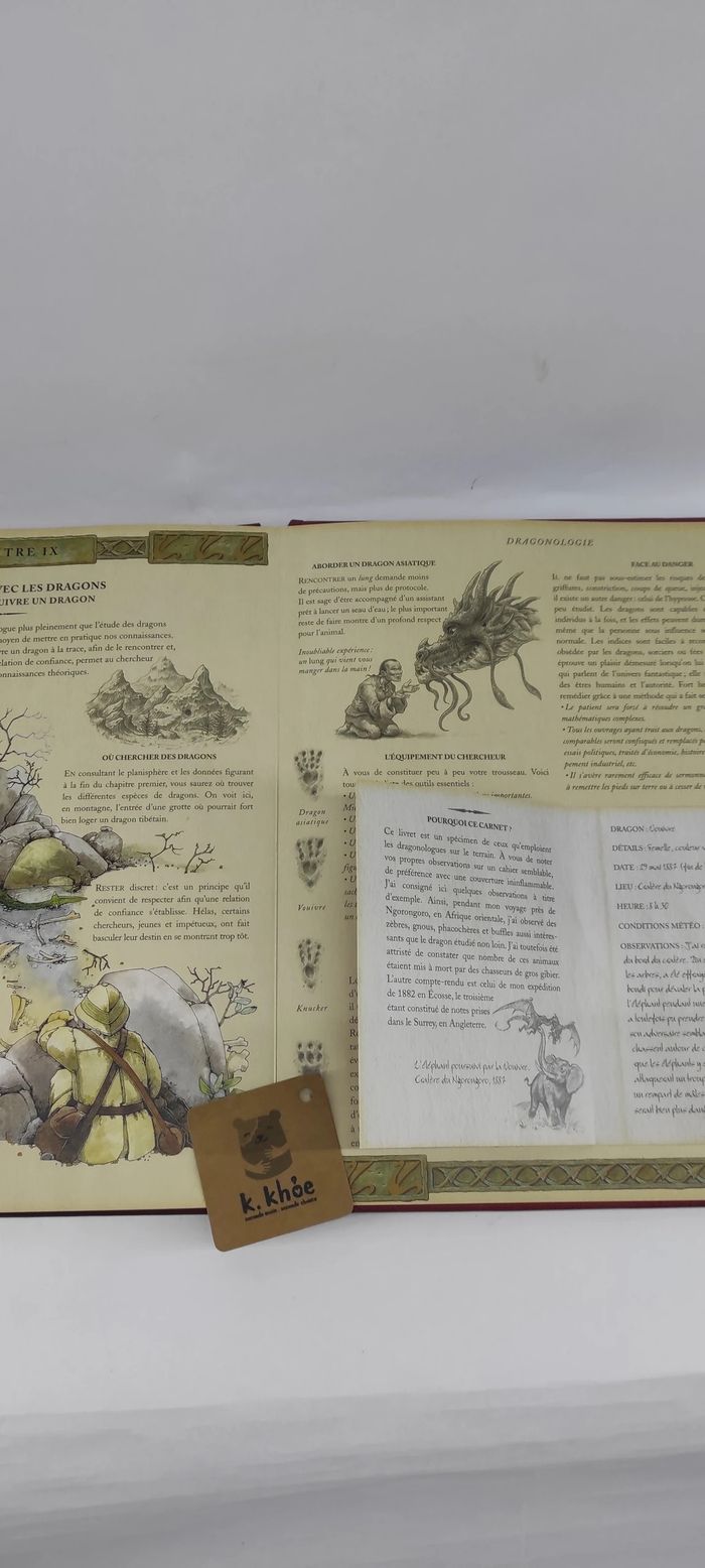 Coffret Dragon ( Livre et playmobil) - photo numéro 5