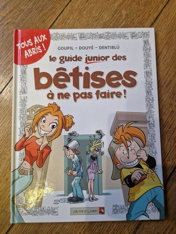 Bd le guide junior des bêtises à ne pas faire