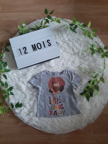 Tee-shirt singe gris