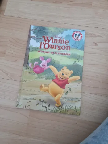 Livre disney winnie l'ourson et le jour de la tempête