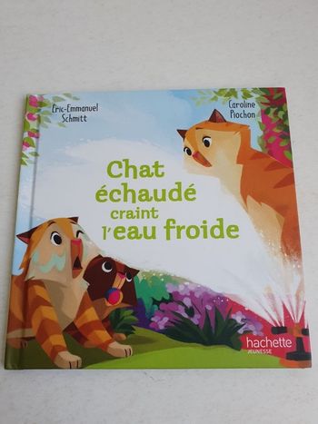 Chat échaudé craint l'eau froide