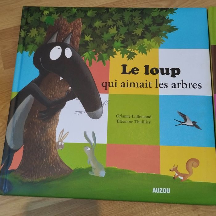 Lot 4 livres enfant Auzou Petit Loup mes grands albums - photo numéro 5