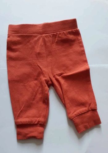 Leggings corail