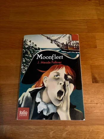 Roman enfant Moonfleet