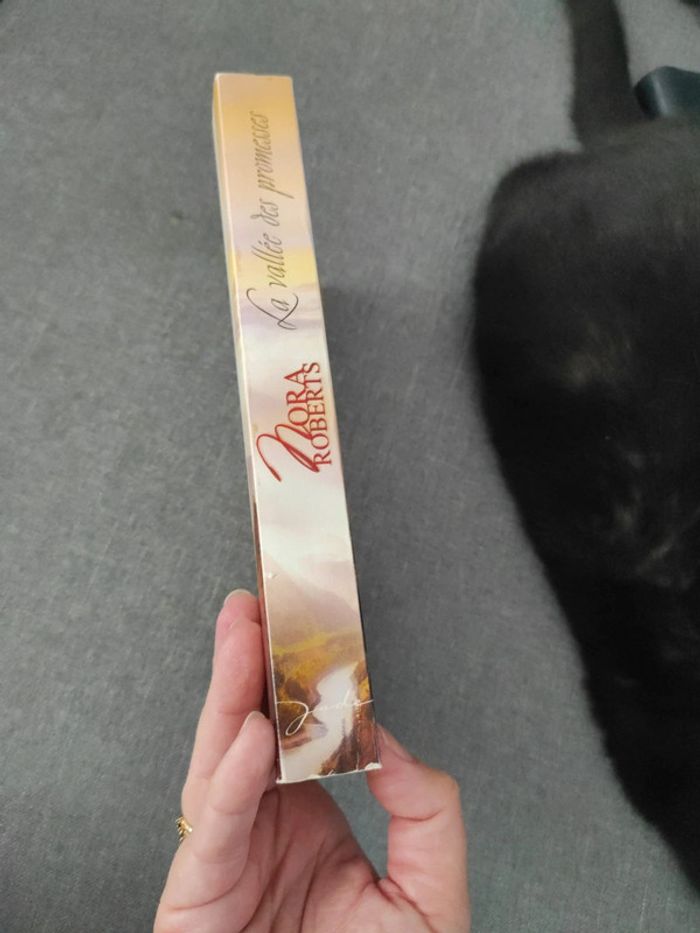 La vallée des promesses - photo numéro 3