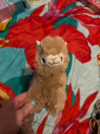 Petit lama