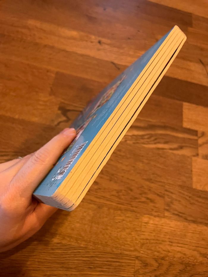 Livre Joue et découvre Les princesses - photo numéro 6