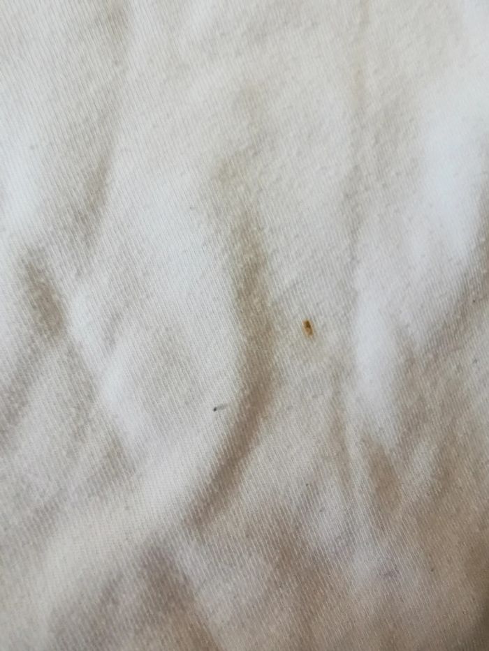 Tee-shirt Nike - photo numéro 6