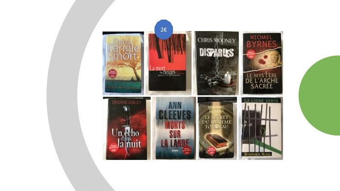 Livres Thrillers et Polars - photo numéro 6