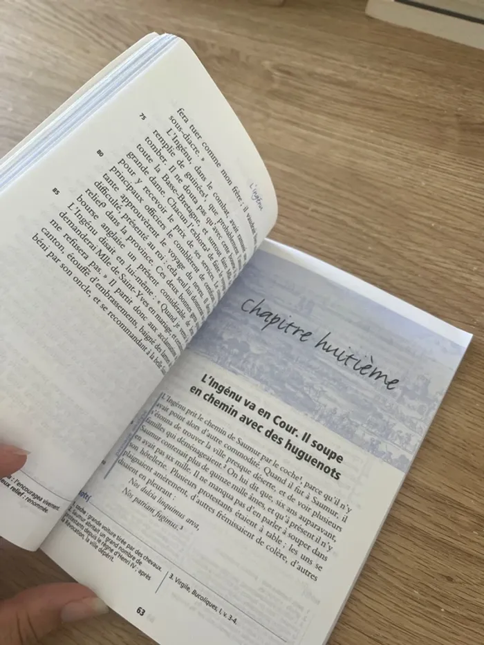 L’ingénu - photo numéro 2