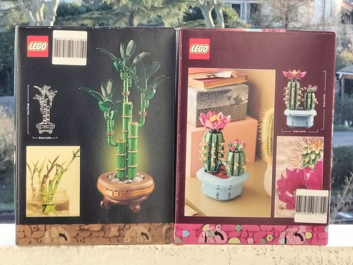 Lego bambou et cactus fleuri - photo numéro 3