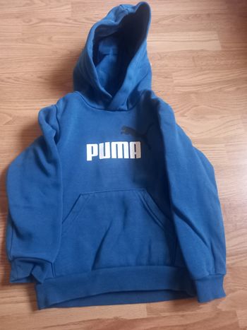 Sweat puma