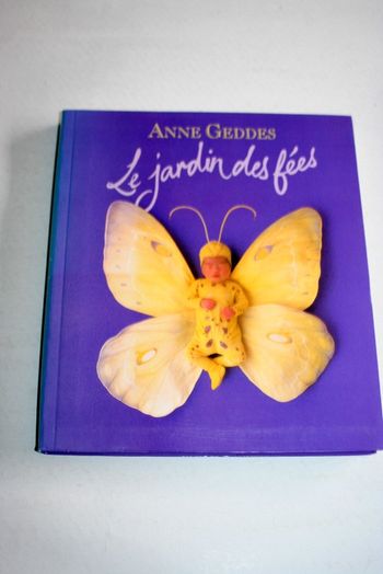 Livre "Le jardin des fées" de Anne Geddes