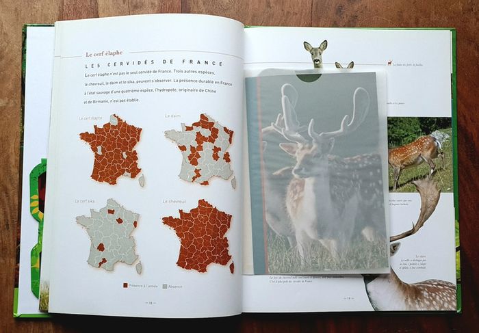 Nature En Famille Avec Ushuaïa, Découvertes Et Balades , Les forêts De Feuillus - photo numéro 5
