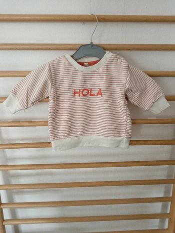 Pulls hola