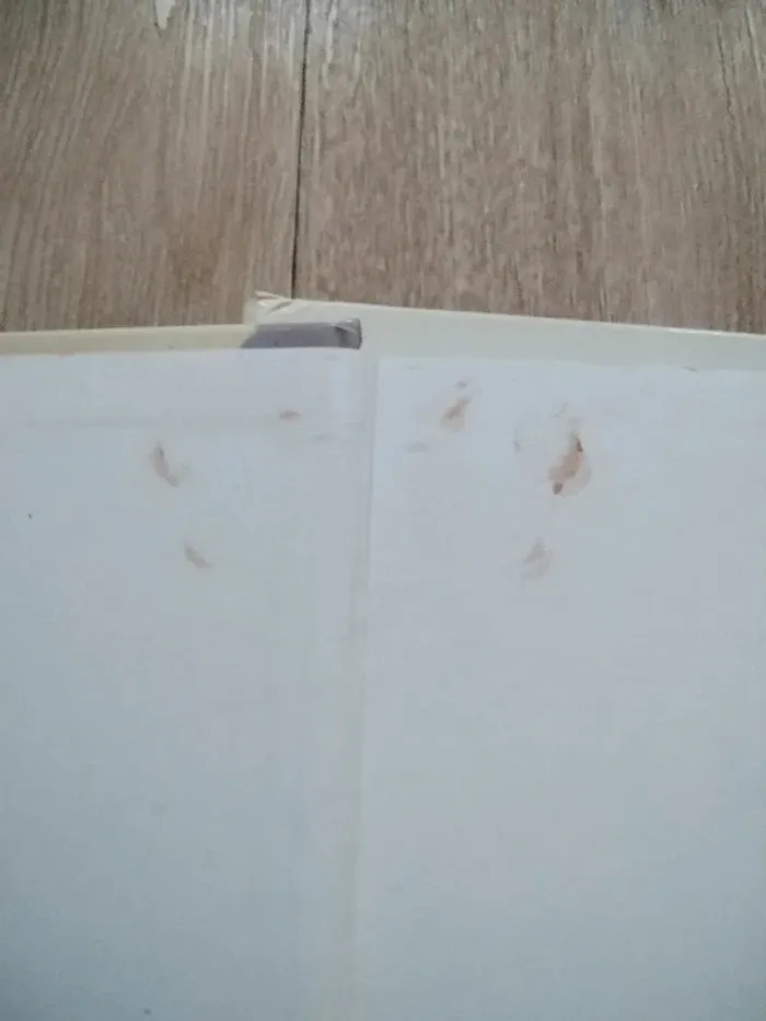 Lot gros livres Disney - photo numéro 9