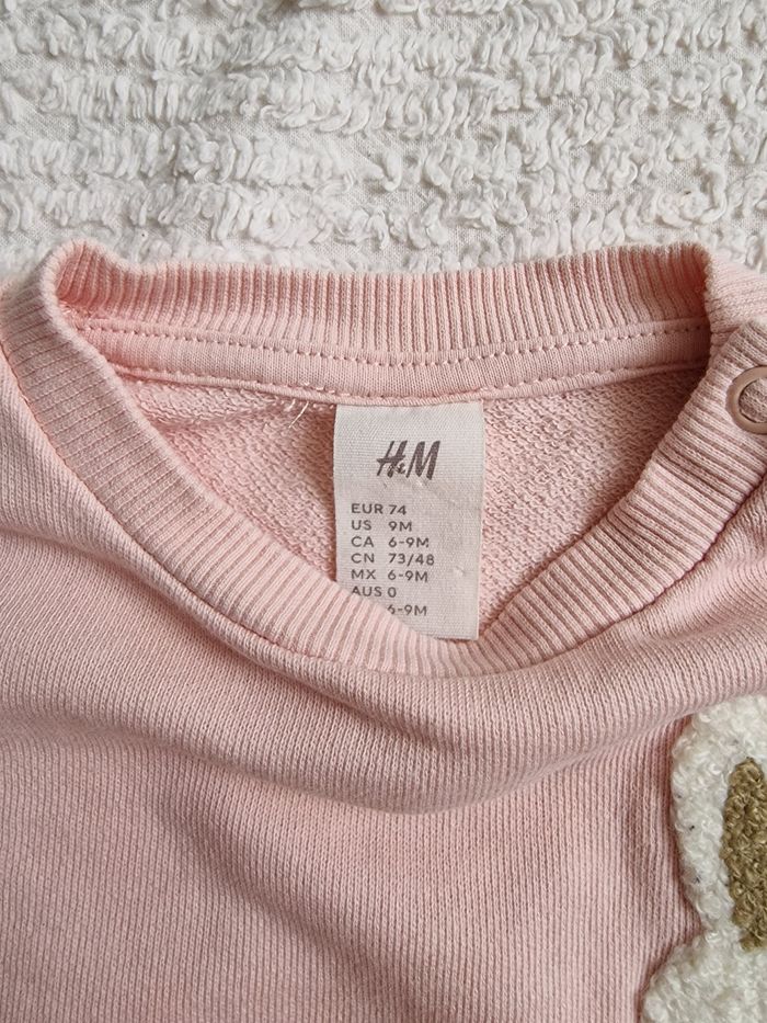 Ensemble - photo numéro 3