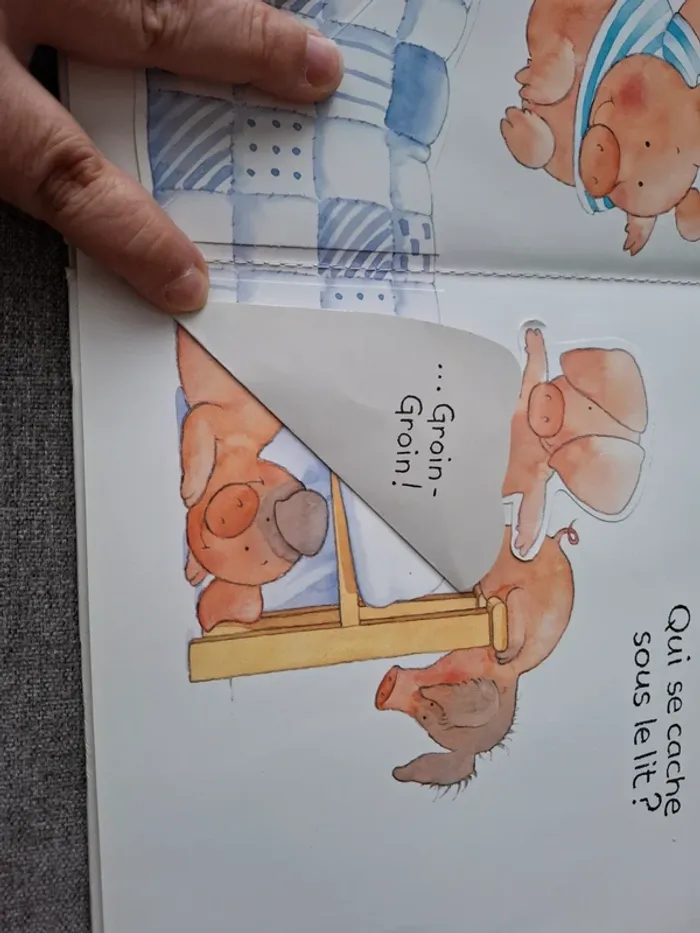 Livre "Cache-cache cochons" - photo numéro 5