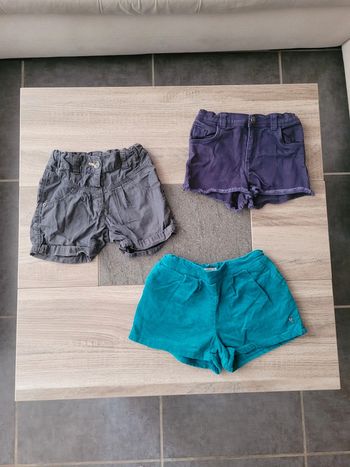 Lot 3 shorts