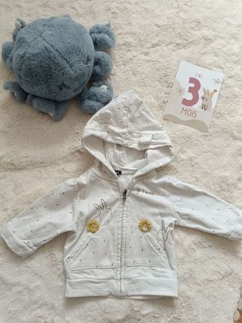 Sweat a capuche 3 mois kiabi