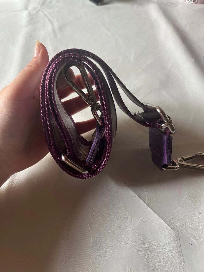 Lanières - photo numéro 2