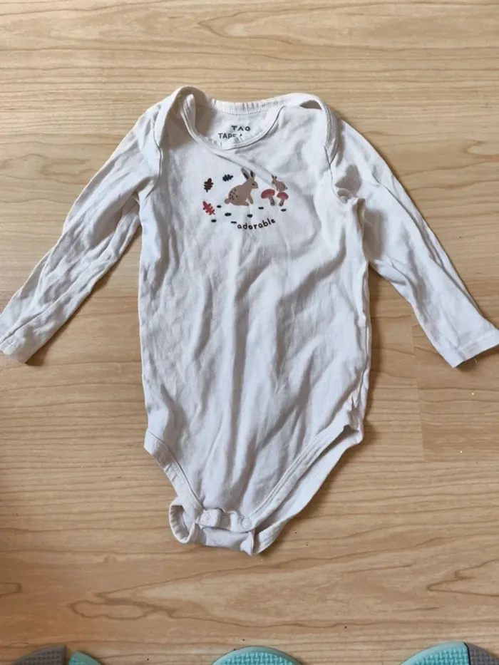 Body lapin