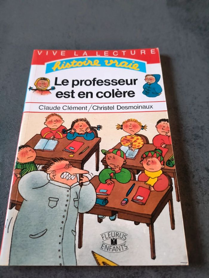 Vends livre histoire vraie le professeur est en colère. - photo numéro 1