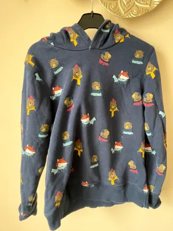 Sweat à capuche, ours