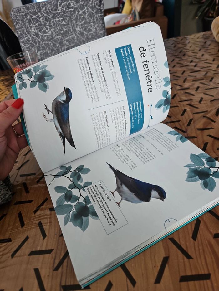 Livre sur les oiseaux - photo numéro 11