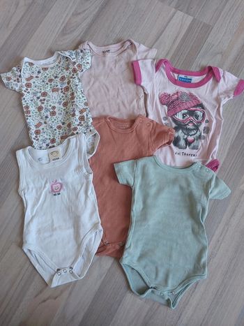 Lot 6 bodies manches courtes 6mois