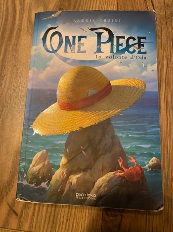 Livre One Pièce la volonté d’oda
